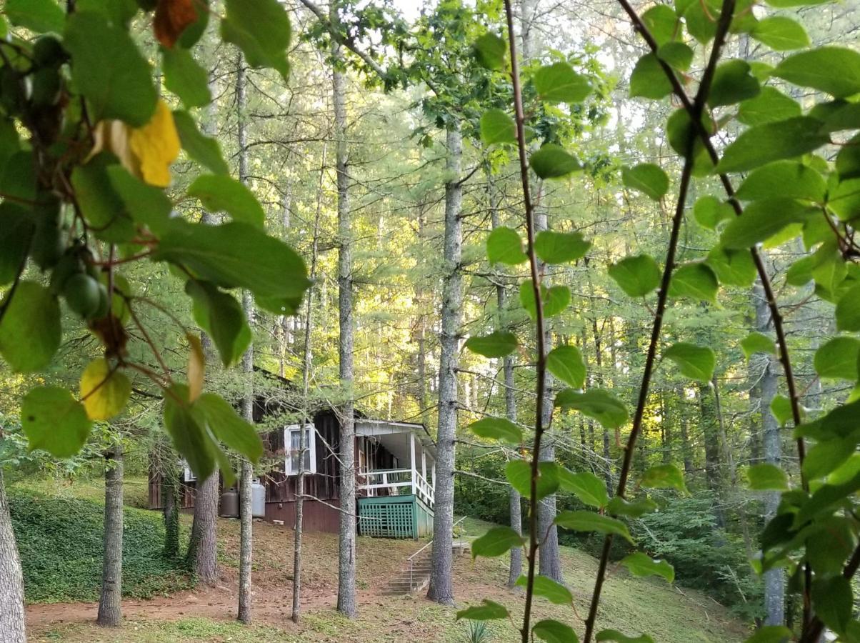 The Cabins At Healing Springs Crumpler Exterior foto